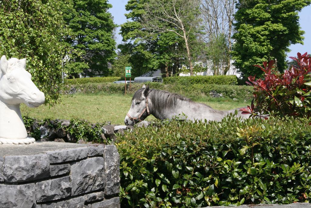 Carrowntober House B & B Oughterard Kültér fotó