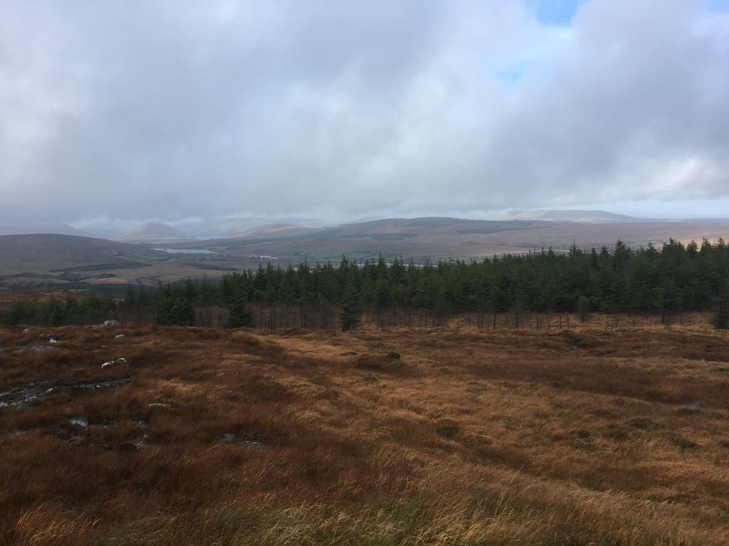 Carrowntober House B & B Oughterard Kültér fotó